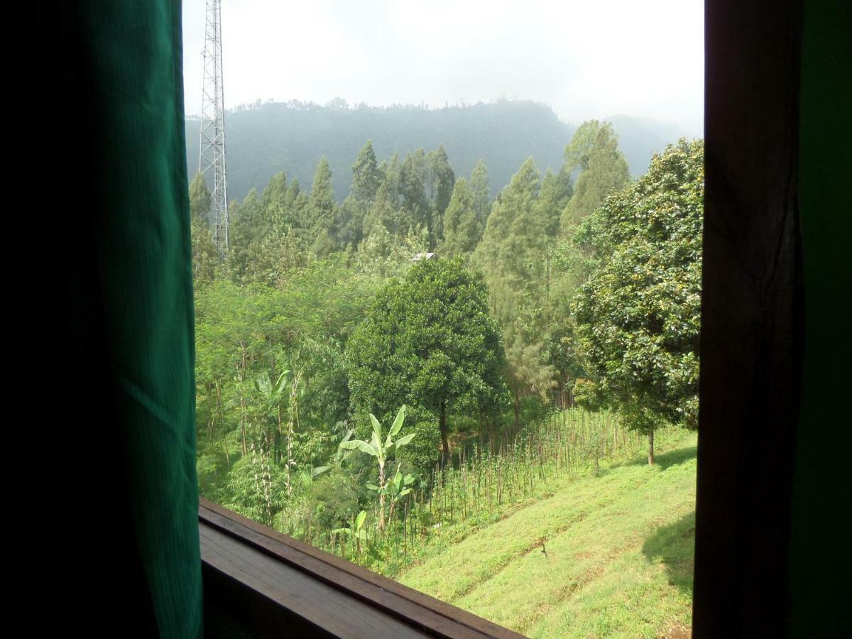 Hotel Istana Petani Bromo Exteriér fotografie