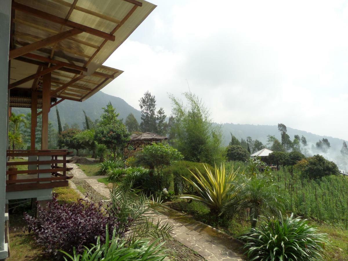 Hotel Istana Petani Bromo Exteriér fotografie