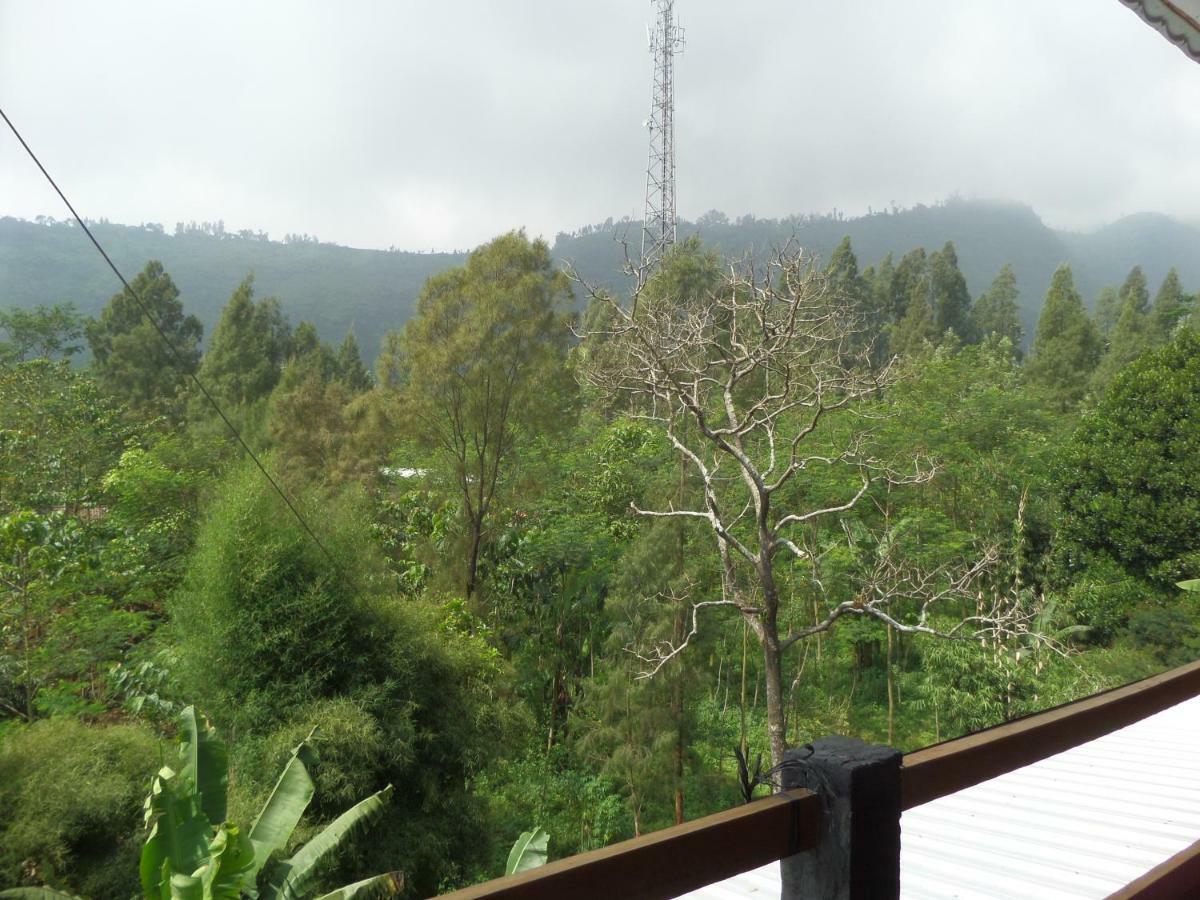 Hotel Istana Petani Bromo Exteriér fotografie